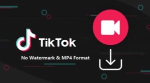 10 Best TikTok Downloaders Of 2024: Your Ultimate Guide